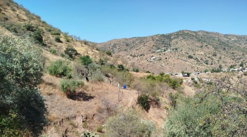 Малага - Periana - 14000m2