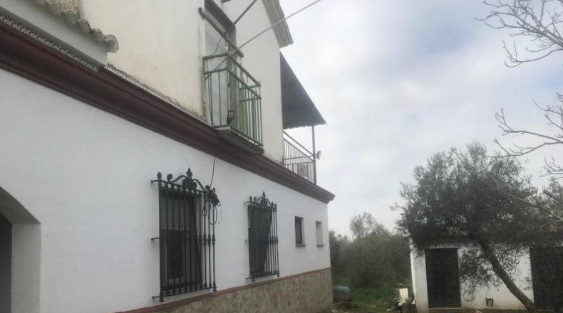 Севилья - Aznalcázar - 17880m2