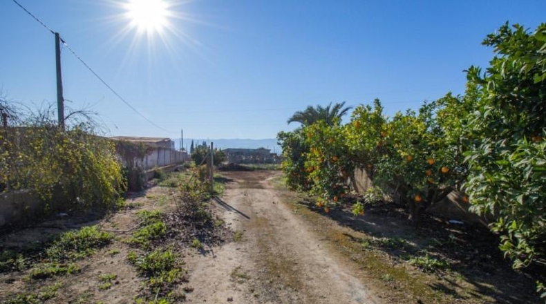 Murcia - Lorca - 4888m2
