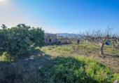 Casa de camp amb terreny en venda a la España, Lorca, ref.: TR390300 foto