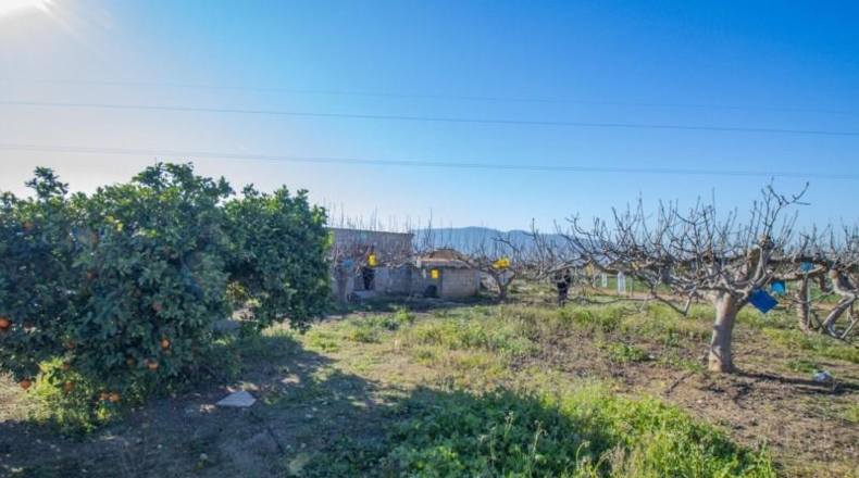 Murcia - Lorca - 4888m2