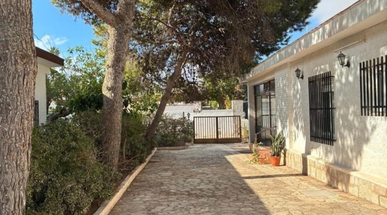 Alicante - Torrevella - 450m2