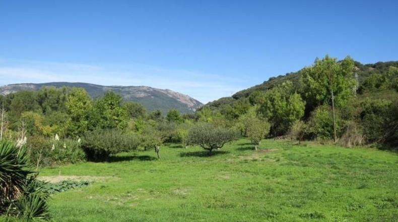 Наварра - Villanueva de Araquil - 6900m2