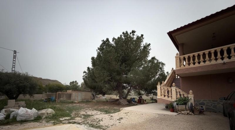 Alicante - Alacant - 390m2