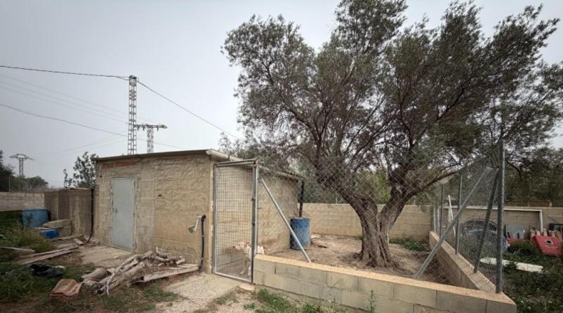 Alicante - Alacant - 390m2