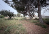 Xalet independent amb terreny en venda a la España, Alacant, ref.: TR390046 foto