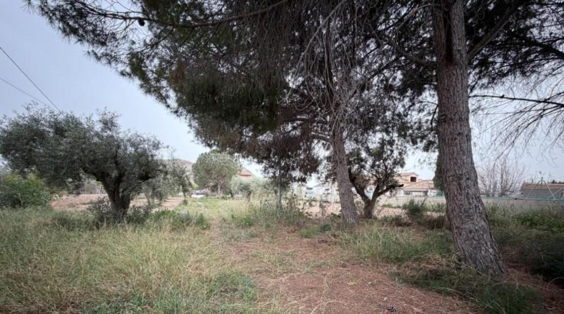 Alicante - Alacant - 390m2