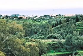 Foto 19