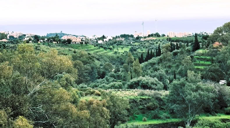 Málaga - Mijas - 71463m2