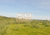 Terreno no urbanizable en venta en la CARRETERA PIEDRAS ALBAS, Alcántara, ref: TR375640 foto