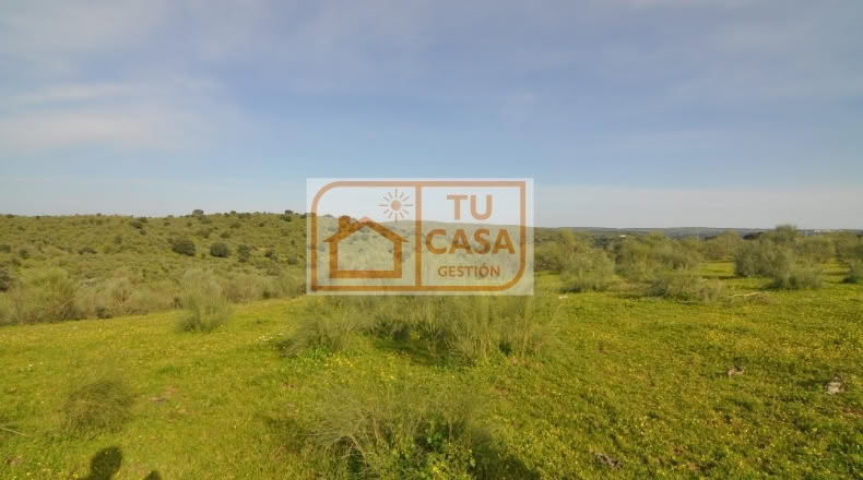 Cáceres - Alcántara - 850000m2