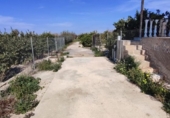 Terreny no urbanitzable en venda a la España, Formentera del Segura, ref.: TR390647 foto