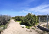 Terreny no urbanitzable en venda a la España, Formentera del Segura, ref.: TR390647 foto