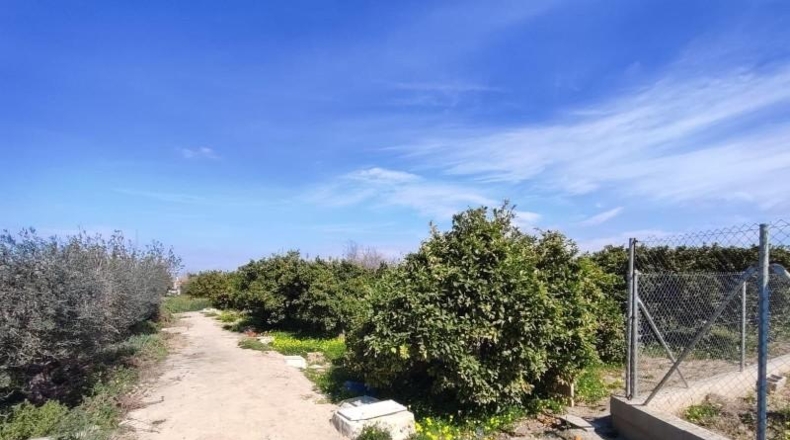 Alicante - Форментера дель Сегура - 2055m2