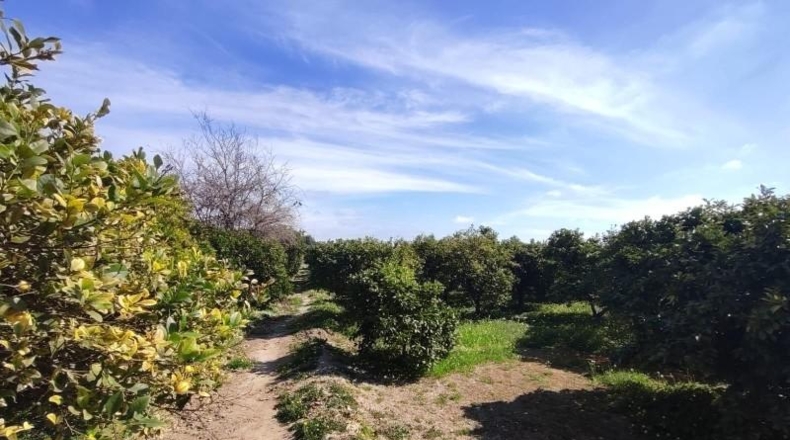 Alicante - Форментера дель Сегура - 2055m2