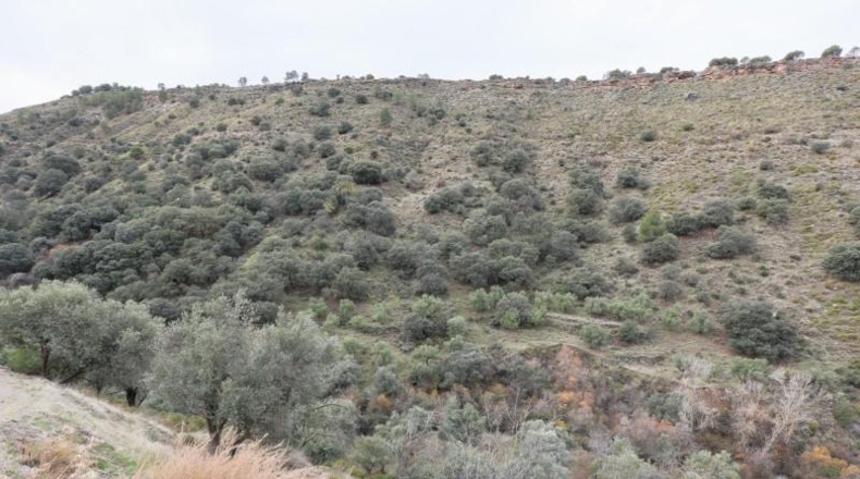 Granada - Monachil - 5462m2