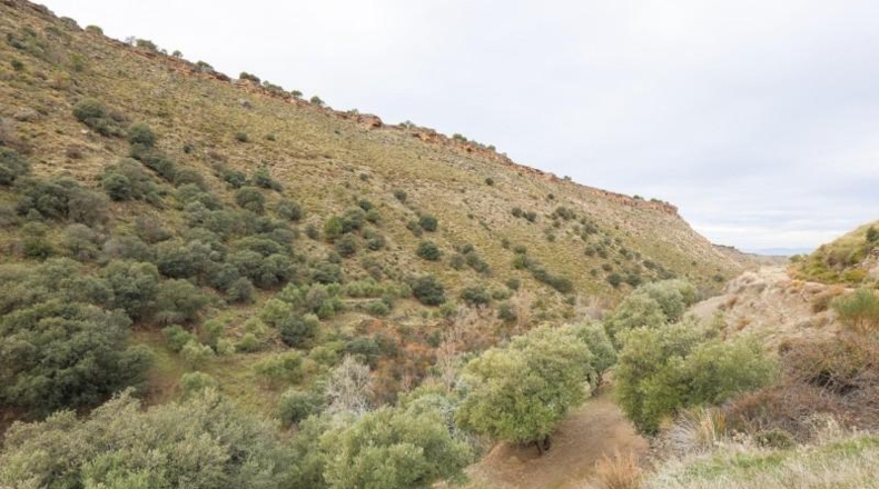 Granada - Monachil - 5462m2
