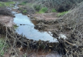 Non-developable land for sale on España, Castañar de Ibor, ref: TR390496 photo