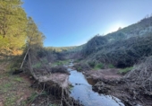 Non-developable land for sale on España, Castañar de Ibor, ref: TR390496 photo