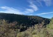 Non-developable land for sale on España, Castañar de Ibor, ref: TR390496 photo