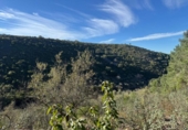 Non-developable land for sale on España, Castañar de Ibor, ref: TR390496 photo