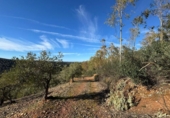 Non-developable land for sale on España, Castañar de Ibor, ref: TR390496 photo
