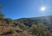 Non-developable land for sale on España, Castañar de Ibor, ref: TR390496 photo