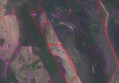 Non-developable land for sale on España, Castañar de Ibor, ref: TR390496 photo