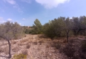 Detached villa with land for sale on España, l'Ametlla de Mar, ref: TR400308 photo