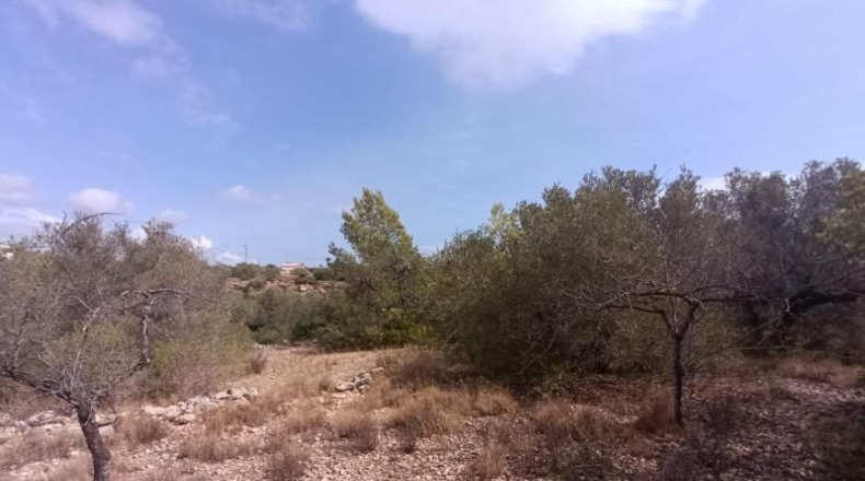 Tarragona - l'Ametlla de Mar - 27739m2