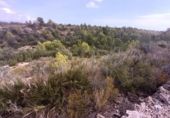 Detached villa with land for sale on España, l'Ametlla de Mar, ref: TR400308 photo