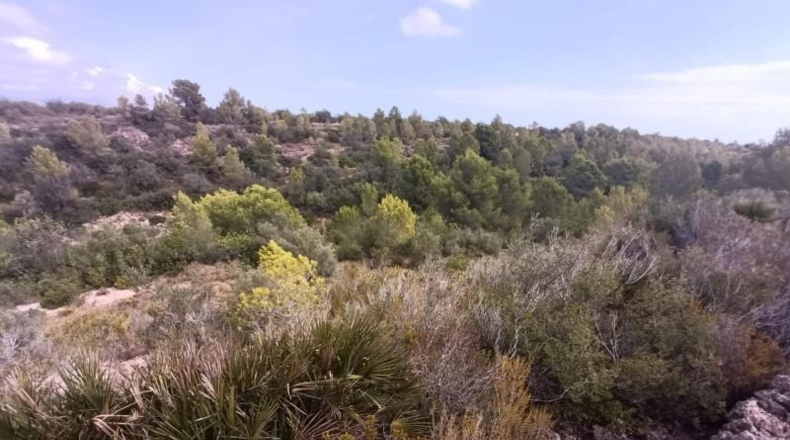 Tarragona - l'Ametlla de Mar - 27739m2