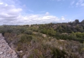 Detached villa with land for sale on España, l'Ametlla de Mar, ref: TR400308 photo