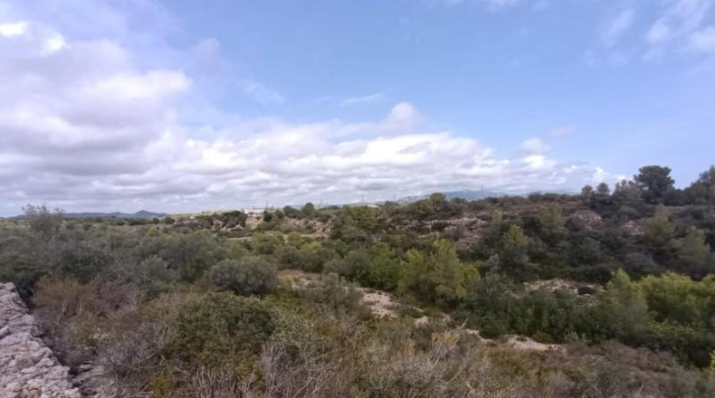 Tarragona - l'Ametlla de Mar - 27739m2