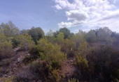 Detached villa with land for sale on España, l'Ametlla de Mar, ref: TR400308 photo