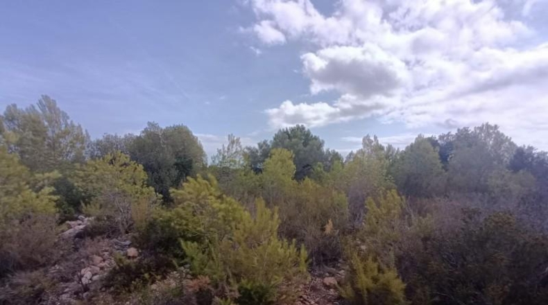 Tarragona - l'Ametlla de Mar - 27739m2