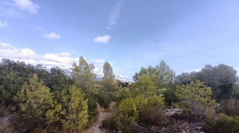 Tarragona - l'Ametlla de Mar - 27739m2