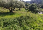 Земля на продажу у города Frigiliana Фото