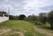 Non-developable land for sale on España, Roses, ref: TR390368 photo