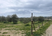 Non-developable land for sale on España, Roses, ref: TR390368 photo