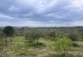 Non-developable land for sale on España, Roses, ref: TR390368 photo