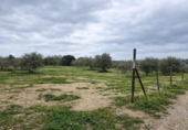 Non-developable land for sale on España, Roses, ref: TR390368 photo