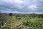 Non-developable land for sale on España, Roses, ref: TR390368 photo