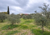 Non-developable land for sale on España, Roses, ref: TR390368 photo
