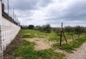 Non-developable land for sale on España, Roses, ref: TR390368 photo