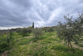 Roses 702&nbsp;m² 