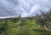 Non-developable land for sale on España, Roses, ref: TR390368 photo