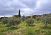 Non-developable land for sale on España, Roses, ref: TR390368 photo