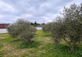 Non-developable land for sale on España, Roses, ref: TR390368 photo