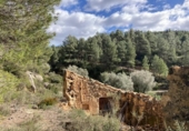 Detached villa with land for sale on España, Arens de Lledó, ref: TR400311 photo